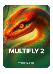 multifly 2 slot